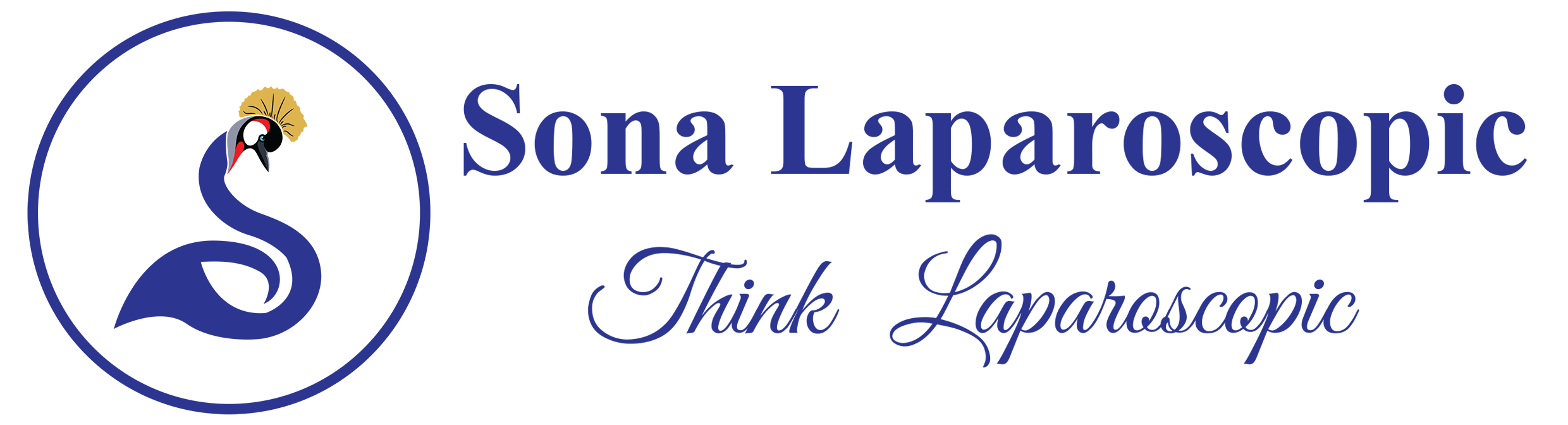 Sona Laparoscopic Medical Centre